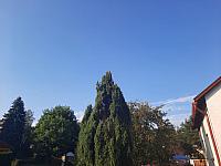 Olešná