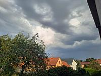 Olešná
