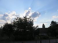 Třibřichy