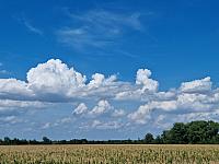 Odrovice