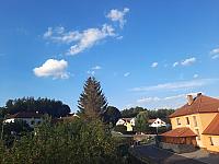 Olešná