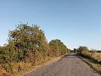 Lukovany