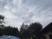 Olešná