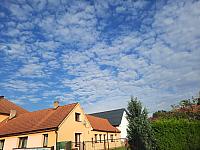 Olešná