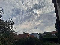 Olešná