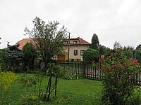 Třibřichy