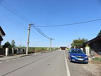 Třibřichy