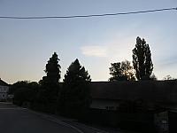 Třibřichy