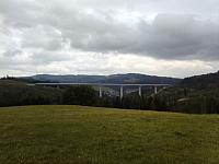 Hrčava