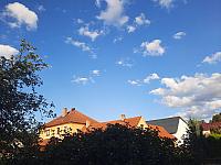 Olešná