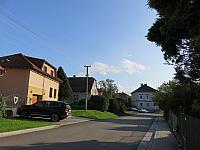 Třibřichy