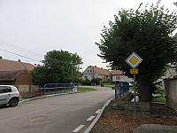 Třibřichy
