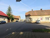 Třibřichy