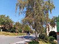 Třebíč-Borovina