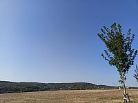 Habrovany