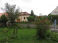 Třibřichy