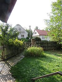 Třibřichy
