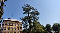 Jičín