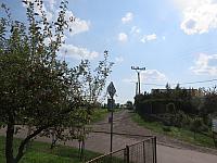 Třibřichy