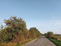 Lukovany