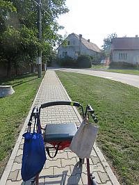 Třibřichy