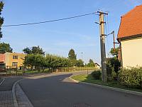 Třibřichy