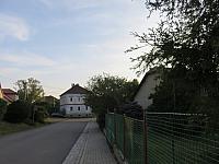 Třibřichy