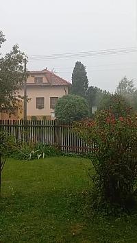 Třibřichy