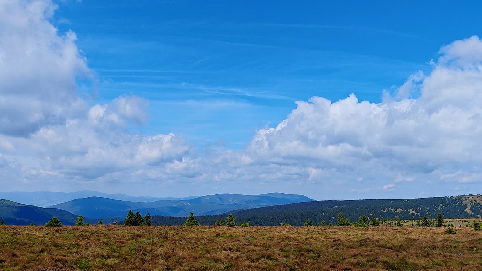 Ovčárna