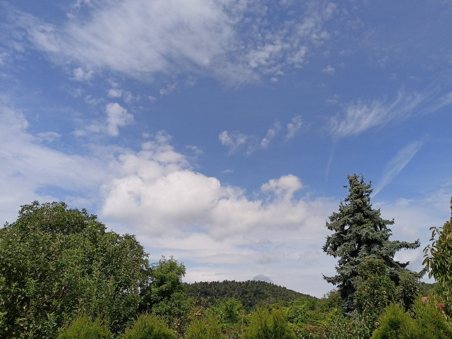 Habrovany