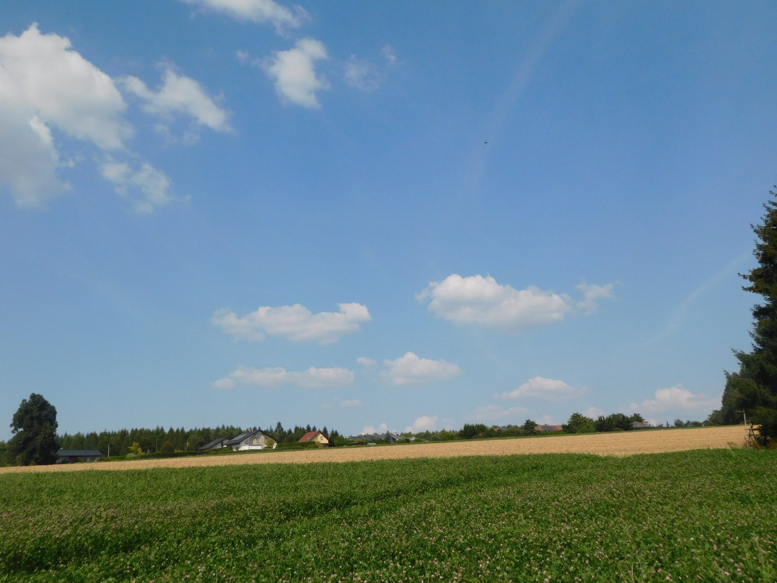 Němčice Zhoř