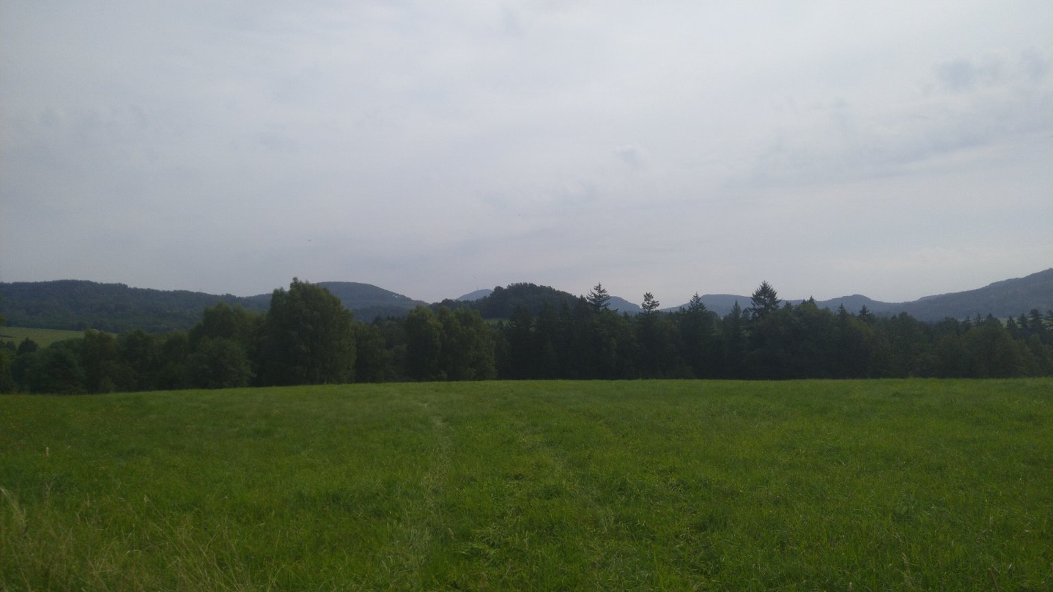 Chřibská