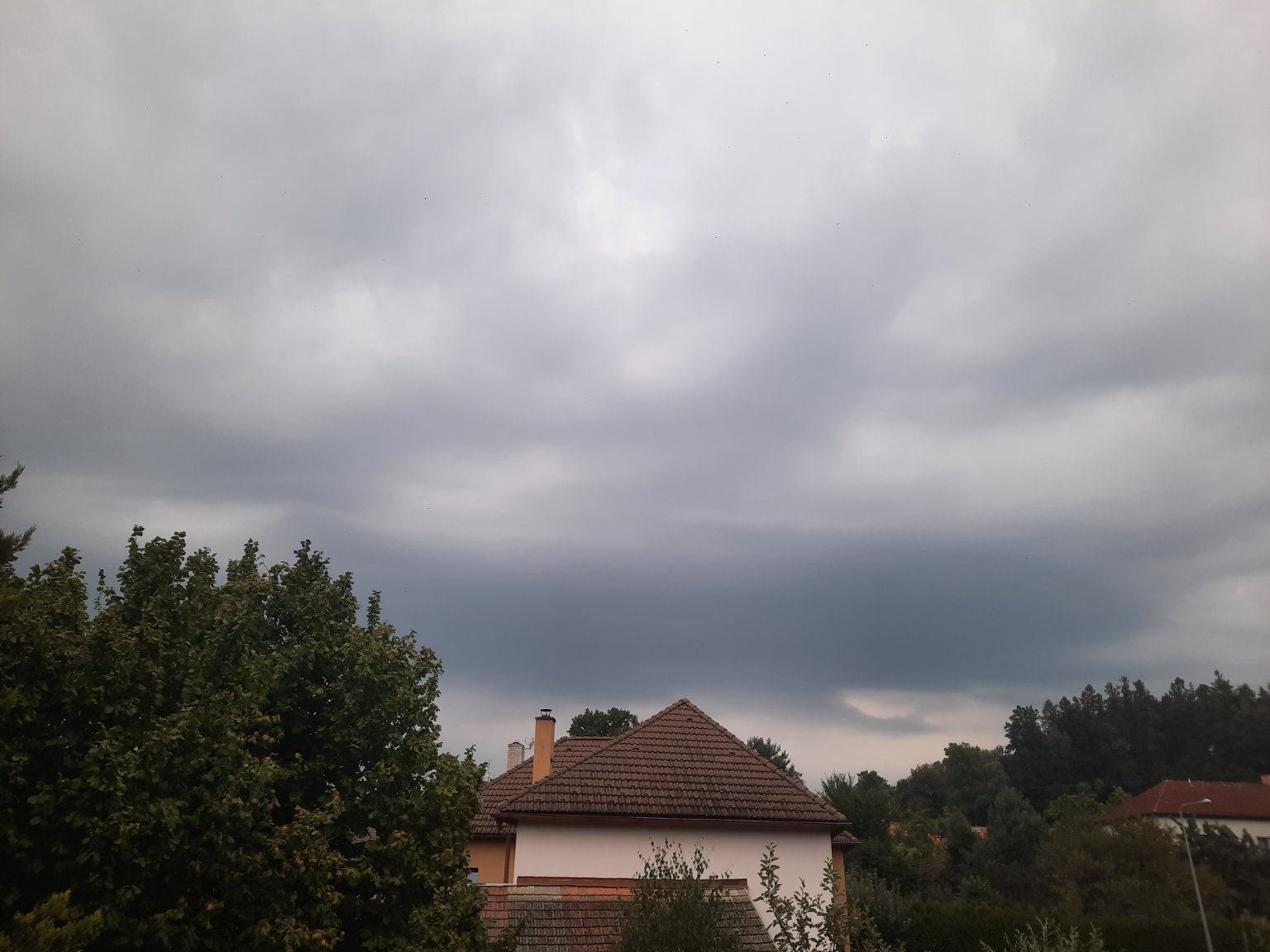 Olešná