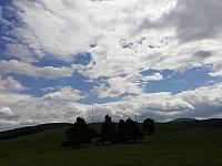 Nižná