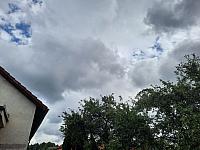 Olešná