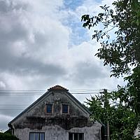 Třibřichy