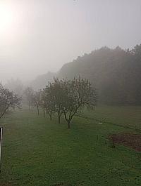 Hvozdnica
