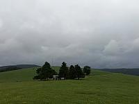 Nižná