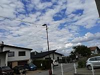 Nižná