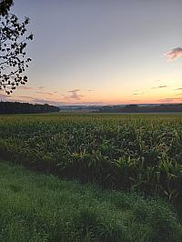 Svatý Mikuláš