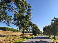 Lukovany