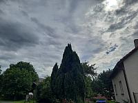 Olešná