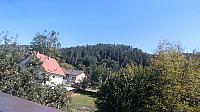 Hvozdnica
