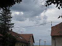 Třibřichy