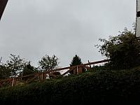 Nižná