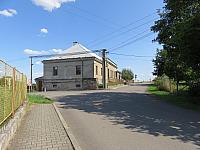 Třibřichy