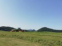 Nižná