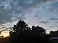 Olešná