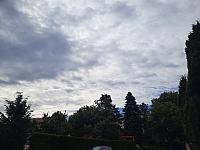 Olešná