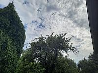 Olešná